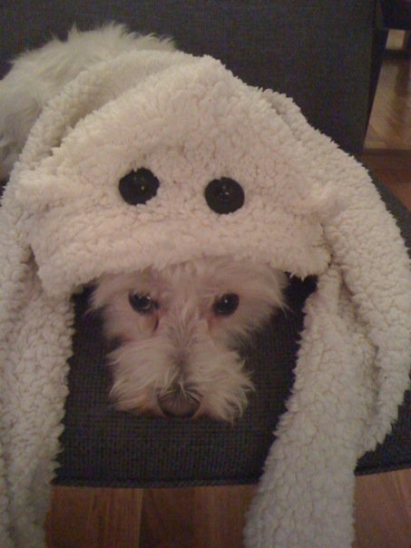 Lilly wearing my hat with attached scarf. 