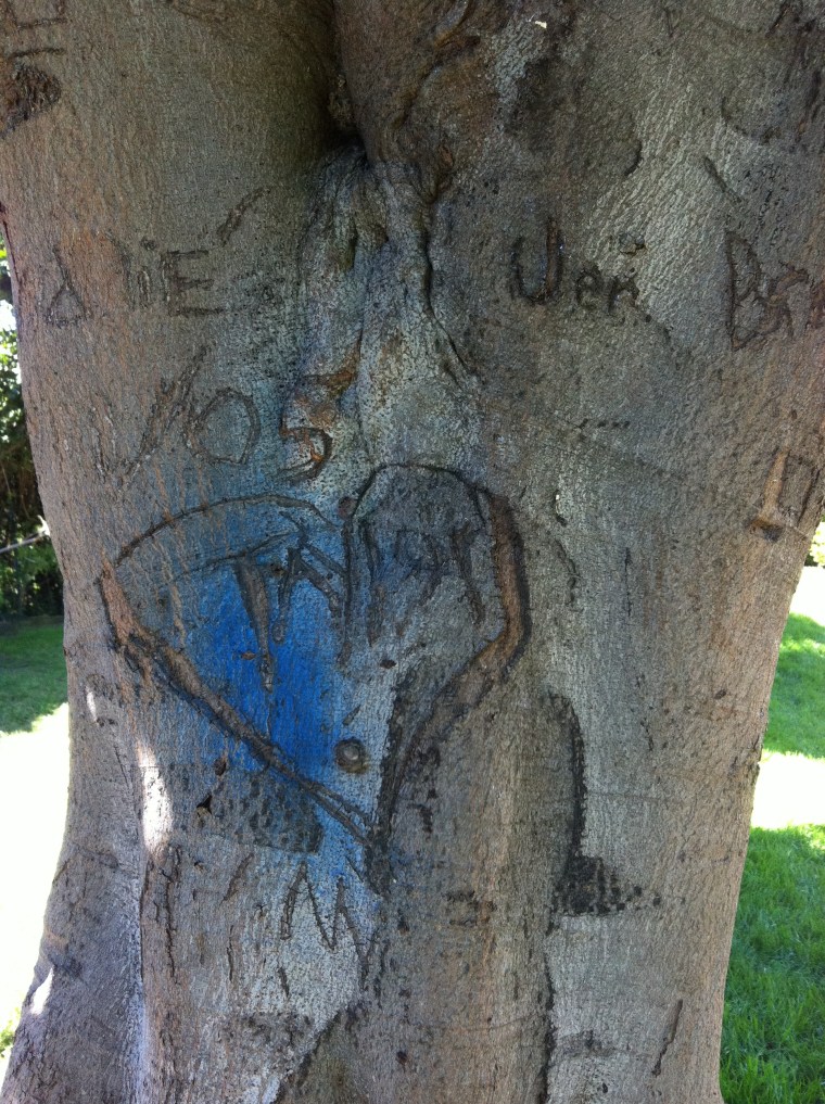 Someone loves Taylor.