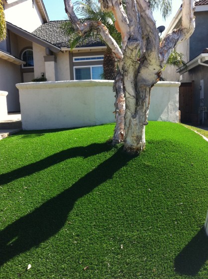 A neighbors astroturf af lawn.
