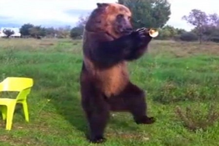 Yeah, You Read That Right